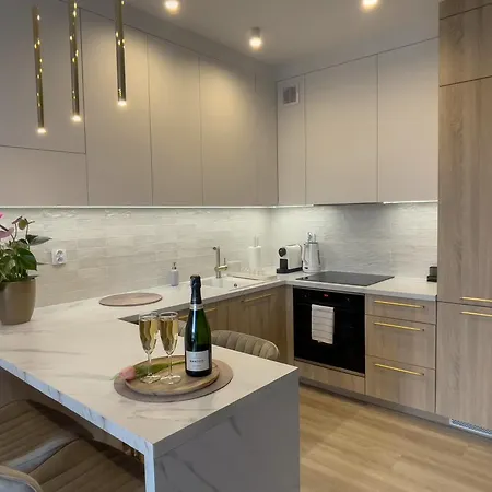 Urban Apartments Luxury Opolska 10 No 29, Free Garage, Self Check-In Katowice Exterior foto